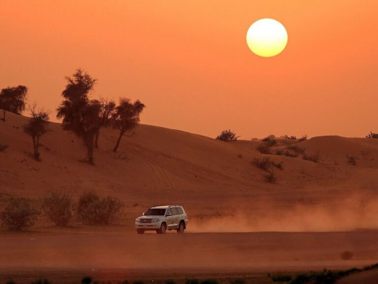 Evening Desert Safari, Abu Dhabi City Tours, Musandam Tour