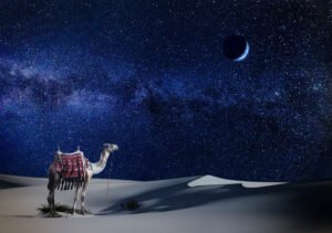 Morning Desert Safari Abu Dhabi, The Sound of Silence: Finding Tranquility in the Bedouin Desert