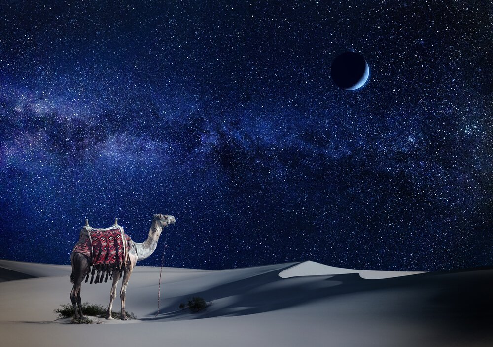 Morning Desert Safari Abu Dhabi, The Sound of Silence: Finding Tranquility in the Bedouin Desert